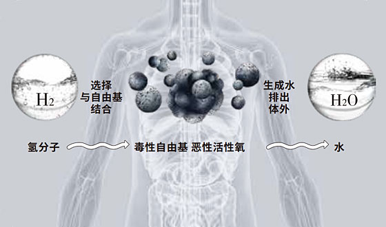 風(fēng)靡日本的水素水是什么？